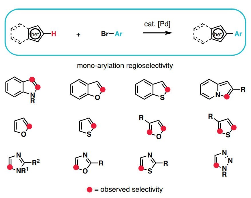 Ungerichtete C-H Arylierung von Heteroarenen