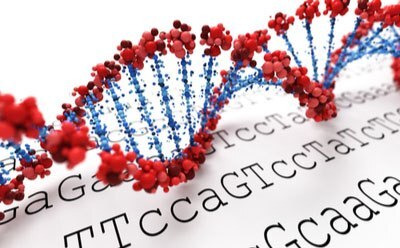 Massively parallel sequencing 