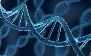 DNA- &amp; RNA-Aufreinigung