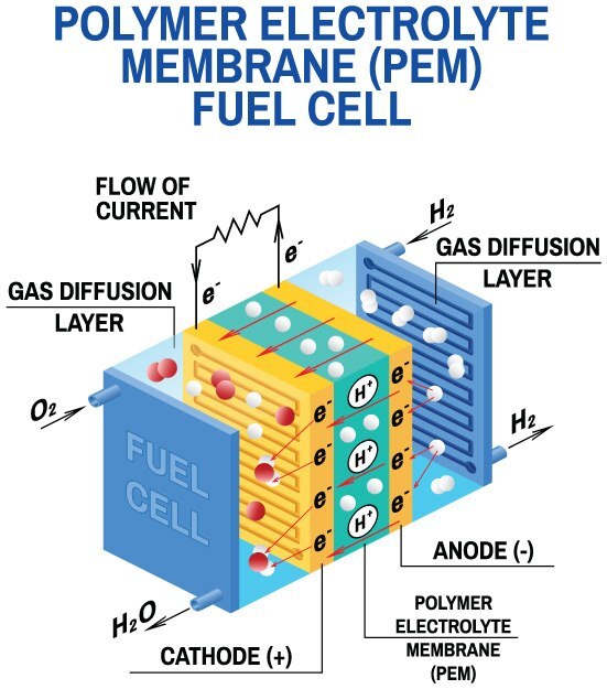 Abbildung einer PEM-Brennstoffzelle, in der dargestellt wird, wie chemische Energie mittels gasf&ouml;rmigem Wasserstoff und Sauerstoff als Brennstoff in elektrische Energie umgewandelt wird.