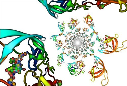 Protein-Massenspektrometrie zur Identifizierung, Charakterisierung und Quantifizierung von Proteinen