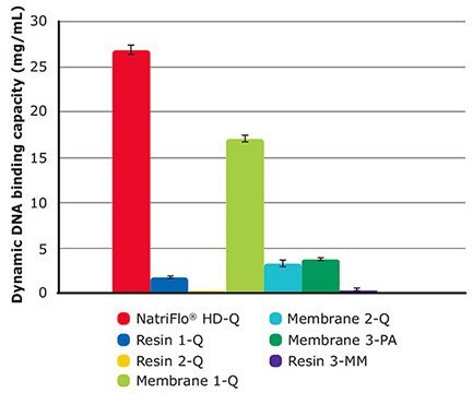 DNA Binding Capacity Study