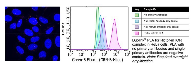 Low-abundant Protein-Protein Interactions using Duolink® flowPLA