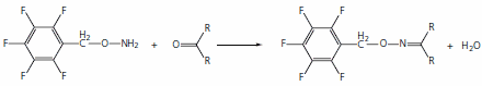  Reaction of PFBHA with aldehyde or ketone to form an oxime