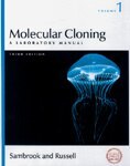 Molecular Cloning: A Laboratory Manual