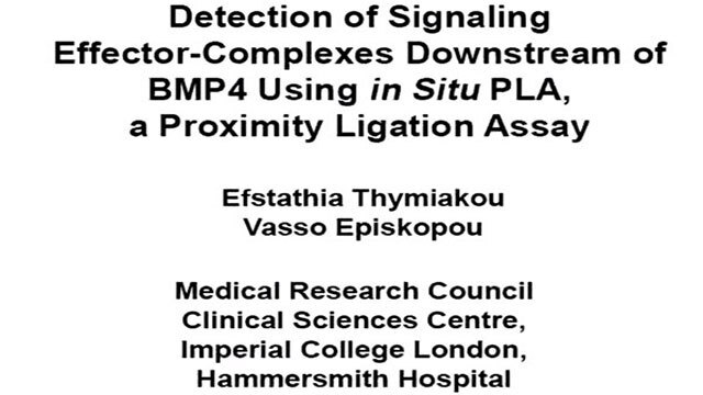 Detection of Signaling Effector-Complexes 