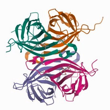 Streptavidin&#8722;-Agarose aus Streptomyces avidinii buffered aqueous suspension