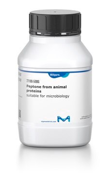 Pepton aus tierischen Proteinen suitable for microbiology