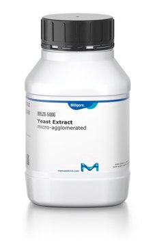 Yeast Extract micro-agglomerated