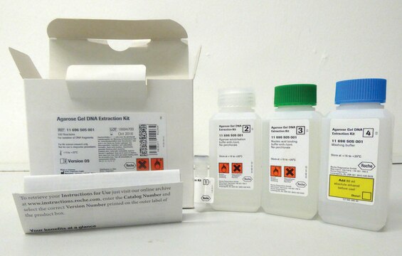 Agarose Gel DNA Extraction Kit kit of for up to 100 reactions