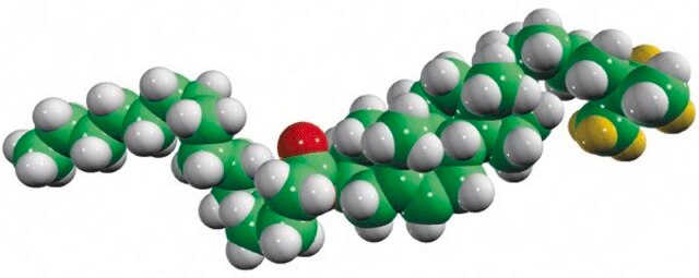 16:0 cholesteryl-d7 ester Avanti Polar Lipids 700149P, powder