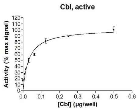 c-Cbl Protein, active, 10 &#181;g Active, full length, recombinant human c-Cbl. N-terminal GST-tagged. For use in Enzyme Assays. Functions as an E3 ligase in ubiquitination assays.