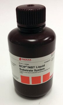 BCIP&#174;/NBT Liquid Substrate System ready to use solution