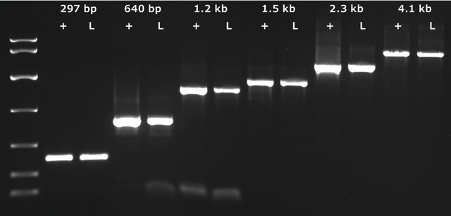 KAPA3G Plant-PCR-Kit