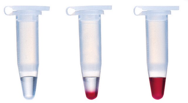 REDTaq&#174; DNA-Polymerase Taq for routine PCR with inert dye, 10X buffer included