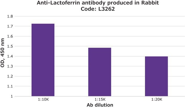 Anti-Lactoferrin antibody produced in rabbit fractionated antiserum, lyophilized powder