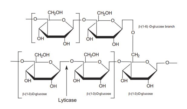 Glucan from baker’s yeast (S.&#160;cerevisiae) &#8805;98.00%