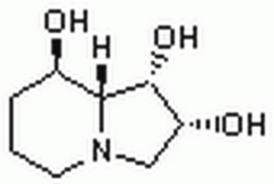 Swainsonin, Swainsona canescens – CAS-Nr. 72741-87-8, Calbiochem Reversible active-site inhibitor of lysosomal &#945;-mannosidase.