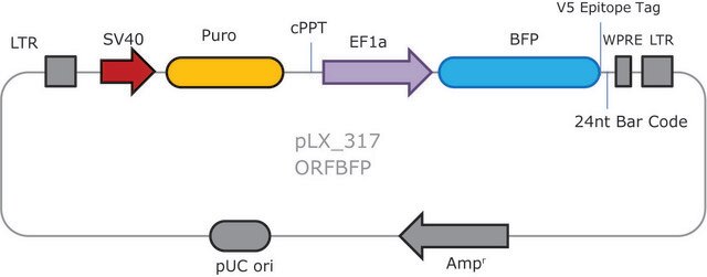 MISSION&#174; TRC3 ORF BFP Lentivirus High Titer Control