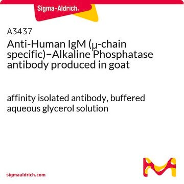 Anti-Human IgM (&#956;-chain specific)&#8722;Alkaline Phosphatase antibody produced in goat affinity isolated antibody, buffered aqueous glycerol solution