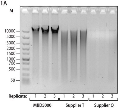 GenElute&#8482; Microbiome DNA Purification Kit High yield for PCR, sequencing and NGS