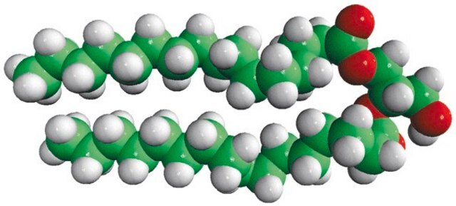 16:0 DG 1,2-dipalmitoyl-sn-glycerol, powder