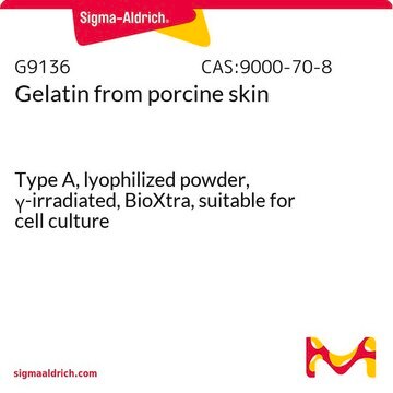 Gelatine aus Schweinehaut Type A, lyophilized powder, &#947;-irradiated, BioXtra, suitable for cell culture