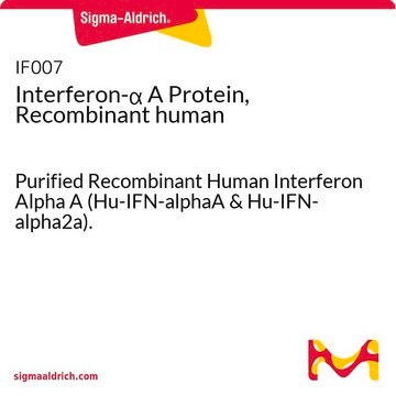 Interferon-&#945;&nbsp;A-Protein, rekombinant, human Purified Recombinant Human Interferon Alpha A (Hu-IFN-alphaA &amp; Hu-IFN-alpha2a).