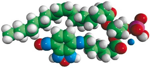 18:1-06:0 NBD PA Avanti Polar Lipids