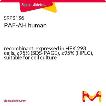 PAF-AH human recombinant, expressed in HEK 293 cells, &#8805;95% (SDS-PAGE), &#8805;95% (HPLC), suitable for cell culture