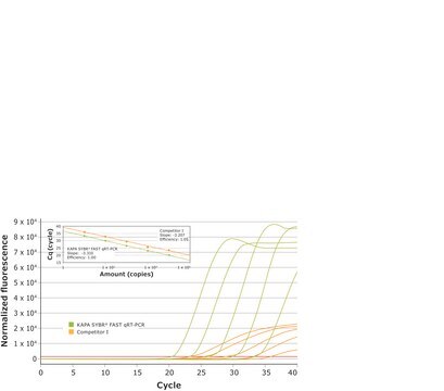 KAPA SYBR&#174; FAST One-Step suitable for RT-PCR, 2&#160;×, Universal