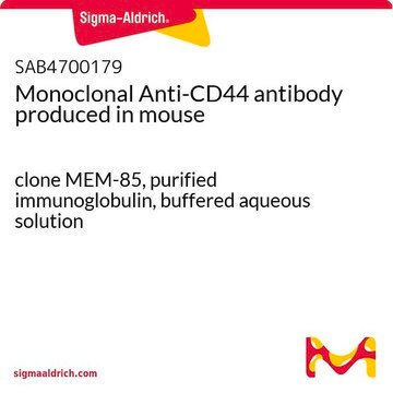 Monoclonal Anti-CD44 antibody produced in mouse clone MEM-85, purified immunoglobulin, buffered aqueous solution