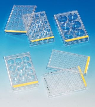 TPP&#174; tissue culture plates 96 well plate, round bottom, polystyrene, 0.40cm2, sterile, 162/cs