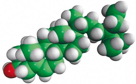 sitosterol Avanti Polar Lipids