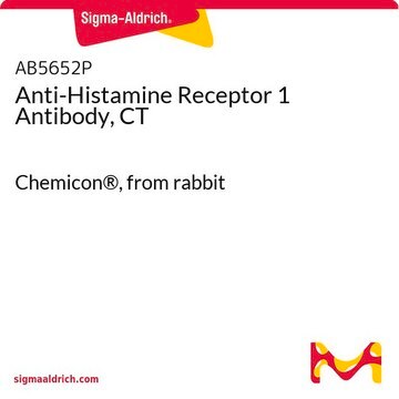 Anti-Histamine Receptor 1 Antibody, CT Chemicon&#174;, from rabbit