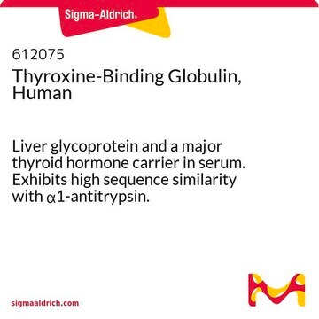 Thyroxin-bindendes Globulin, menschlich Liver glycoprotein and a major thyroid hormone carrier in serum. Exhibits high sequence similarity with &#945;1-antitrypsin.