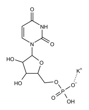 Polyuridylsäure-Agarose lyophilized powder, matrix polyacrylhydrazido-agarose