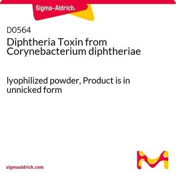 Diphtheria Toxin from Corynebacterium diphtheriae lyophilized powder, Product is in unnicked form