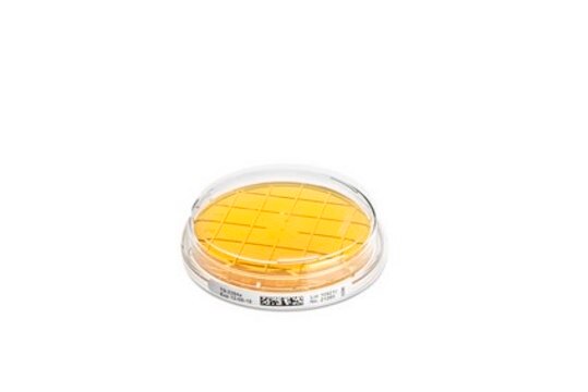 Trypton-Soja-Agar Tween&#174;, Lecithin, ICR plate with non-lockable lid, plate diam. 55&#160;mm, sterile; &#947;-irradiated, pkg of 10&#160;plates Triple packed, suitable for surface monitoring