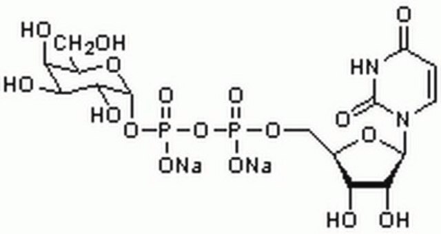 UDP-&#945;-D-Galactose, Disodium Salt A donor substrate for galactosyltransferases used in the biosynthesis of galactose-containing oligosaccharides. Decreased red blood cell levels of UDP-Gal are found in patients with maple syrup urine disease or phenylketonuria.