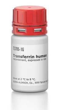 Transferrin human recombinant, expressed in rice