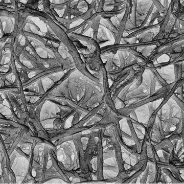 Zellulosefaser-Membranfilter Millipore, filter diam. 47&#160;mm, hydrophilic