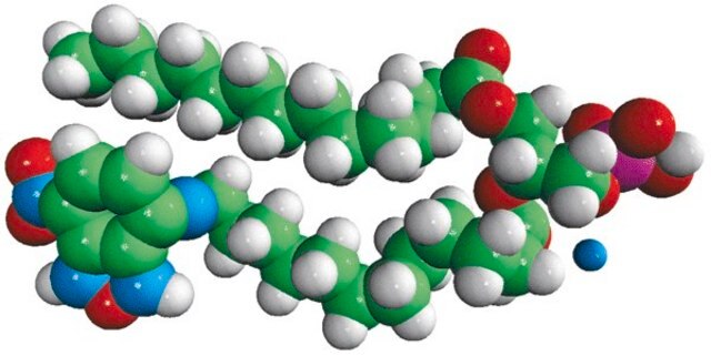 14:0-12:0 NBD PA Avanti Polar Lipids 810172P, powder