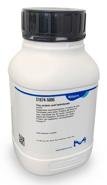 Saures Sojaprotein-Hydrolysat powder, from Glycine max (soybean)