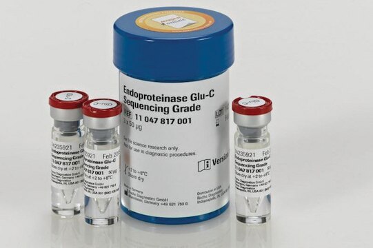 Endoproteinase Glu-C, Sequenzierqualität from Staphylococcus aureus V8