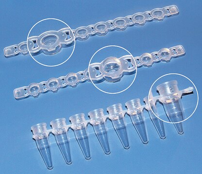 BRAND&#174; PCR tubes and caps, strips of 8 domed caps