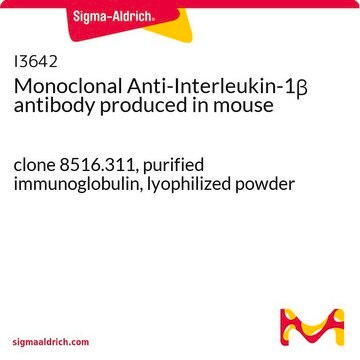 Monoclonal Anti-Interleukin-1&#946; antibody produced in mouse clone 8516.311, purified immunoglobulin, lyophilized powder