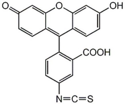 FITC, Isomer I