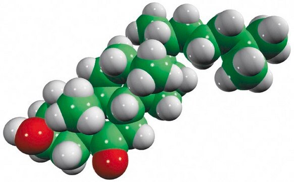 6-keto-5&#945;-hydroxycholesterol Avanti Polar Lipids 700140P, powder