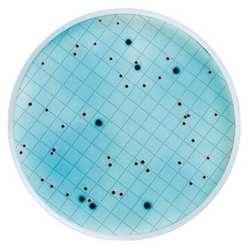 m-ColiBlue24-Bouillon ready-to-use, ampule of 2&#160;mL, suitable for microbiology, for Escherichia spp., for coliforms